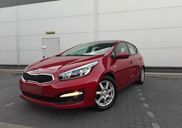 kia mieszkowice Kia Ceed cena 38900 przebieg: 156500, rok produkcji 2016 z Mieszkowice